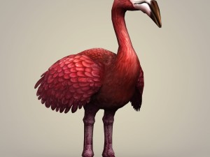 fantasy flamingo bird Modello 3D