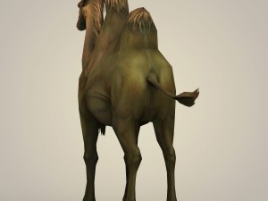 game ready fantays camel 3D 模型