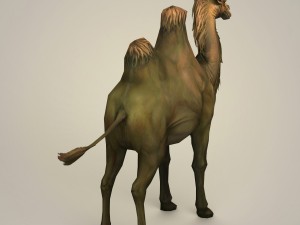 game ready fantays camel 3D 模型
