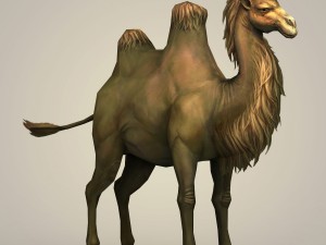 game ready fantays camel 3D 模型