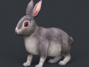 game ready rabbit 3D मॉडल
