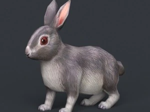гра готовий кролик 3D Модель