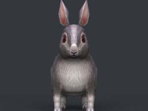 game ready rabbit Model 3D