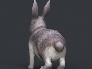 game ready rabbit Model 3D