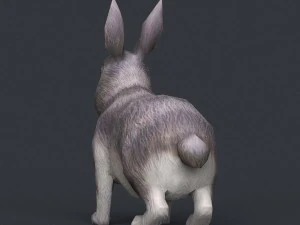 coniglio pronto per il gioco Modello 3D