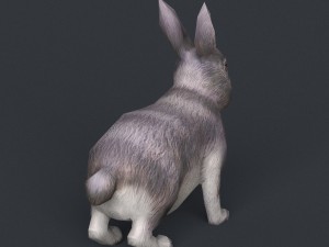 game ready rabbit Model 3D