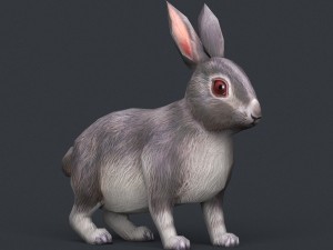 game ready rabbit Model 3D
