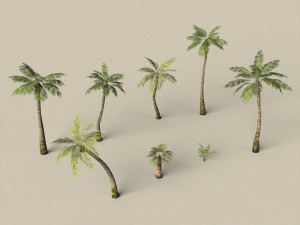 game ready palm tree pack 3D Модель