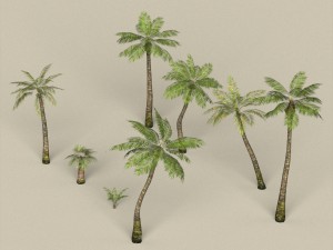 game ready palm tree pack 3D मॉडल