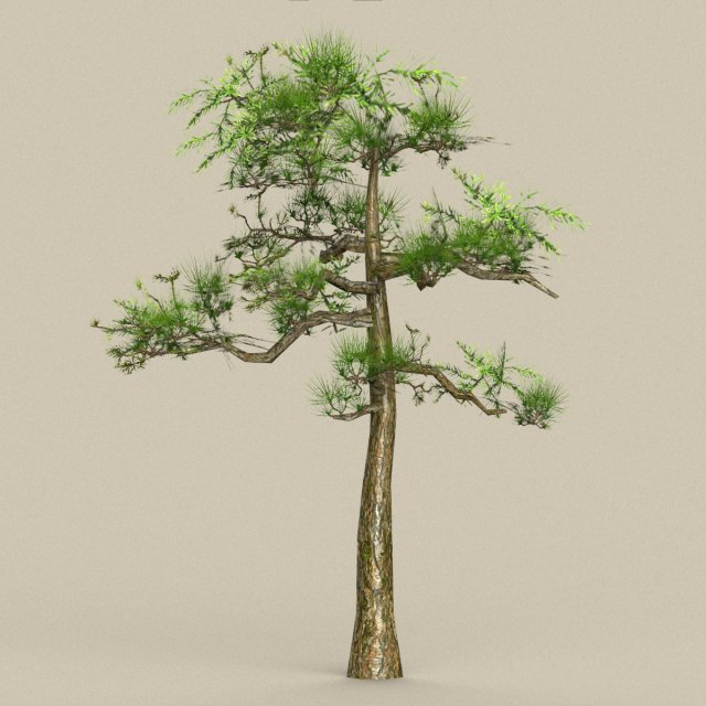 low poly tree 01 Modèle 3D .c4d .max .obj .3ds .fbx .stl .blend 