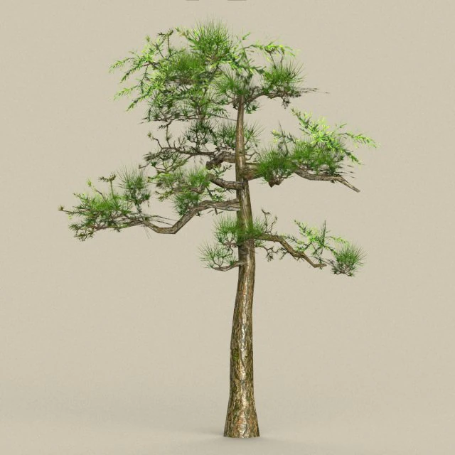 low poly tree 01 3D Model .c4d .max .obj .3ds .fbx .stl .blend 