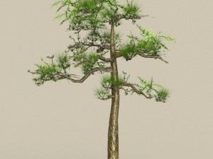 low poly tree 01 3D 모델