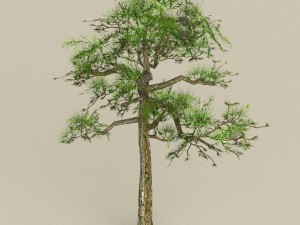 low poly tree 01 Modèle 3D