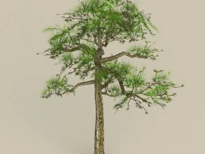 low poly tree 01 3D Model