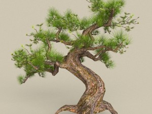 low poly tree 02 Modelo 3D