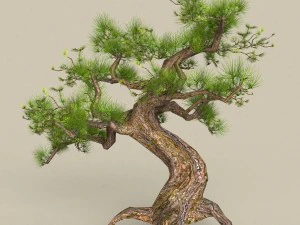low poly tree 02 3D Model