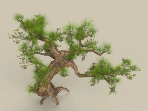 low poly tree 02 3D Model