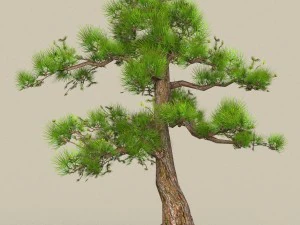 low poly tree 03 3D Model