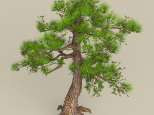 low poly tree 03 Modelo 3D