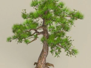 low poly tree 03 3D Model