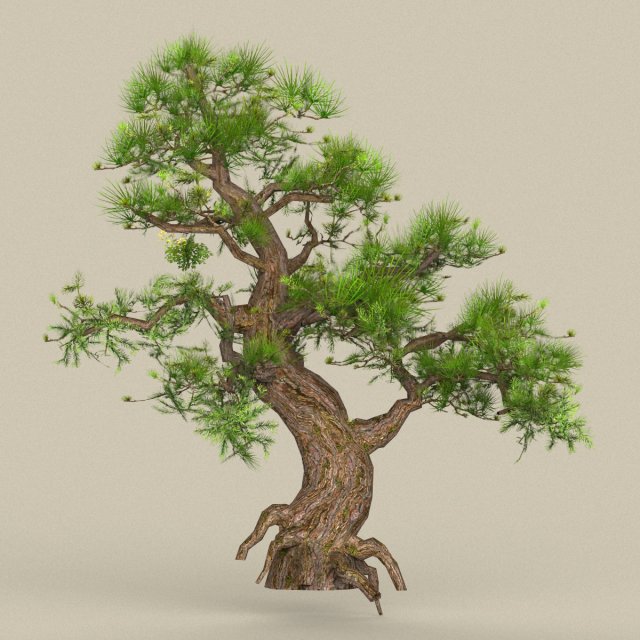 low poly tree 04 3D 모델 .c4d .max .obj .3ds .fbx .stl .blend 