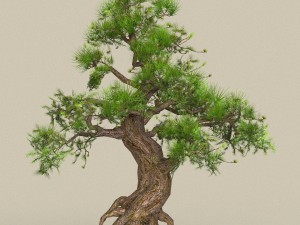 low poly tree 04 3D 모델