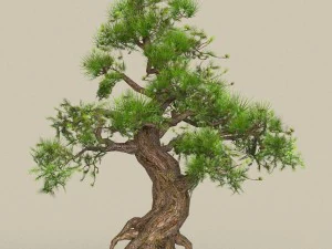 low poly tree 04 3D Model