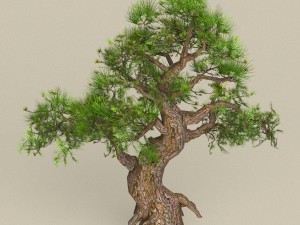 low poly tree 04 3D 모델