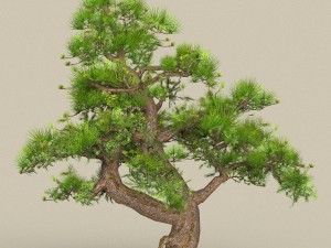 low poly tree 05 3D Модель