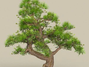 albero poli basso 05 Modello 3D