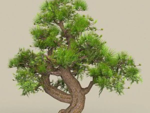low poly tree 05 3D Model