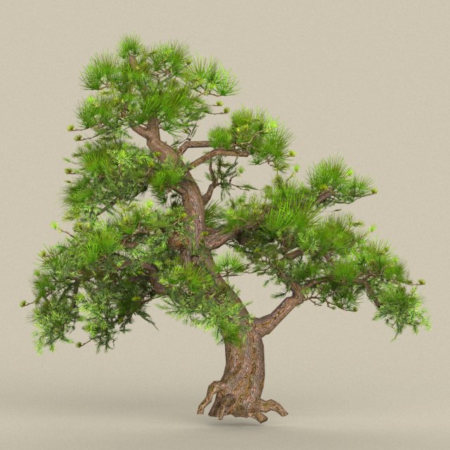 low poly tree 06 3D Модель .c4d .max .obj .3ds .fbx .stl .blend 