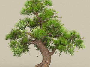 low poly tree 06 3D Модель