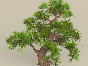 low poly tree 06 3D Модель