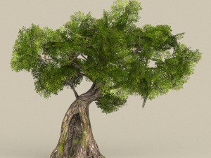 low poly tree 07 3D 모델