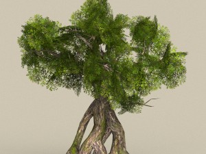 low poly tree 07 3D 模型