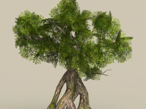 low poly tree 07 3D Model