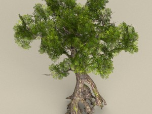 low poly tree 07 3D 模型