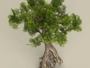 low poly tree 07 3D Model