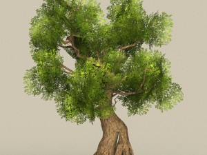 low poly tree 08 3D 모델