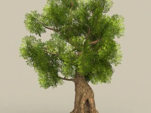 low poly tree 08 3D Model