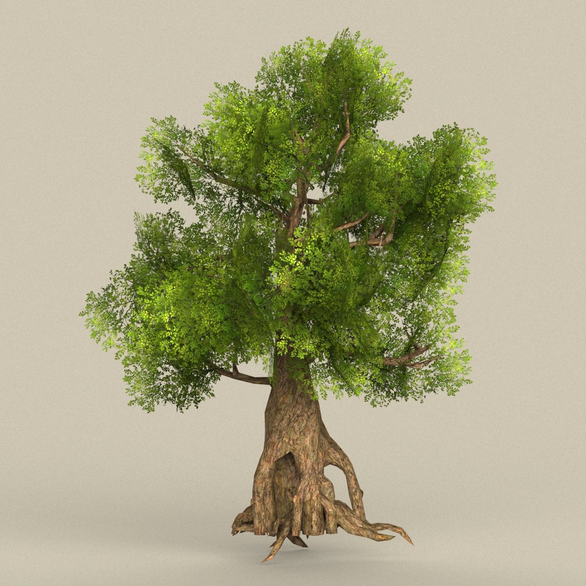 Game ready tree. 8 trees. Дерево 8 м. Forrest alpha texture. 8 trees.
