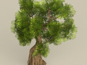 low poly tree 08 3D Model