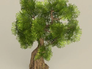 low poly tree 08 3D Model
