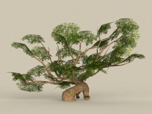 low poly tree 09 3D 모델