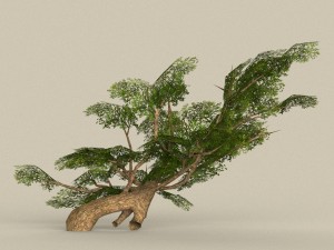 low poly tree 09 3D Модель