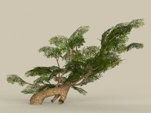 albero in poli basso 09 Modello 3D