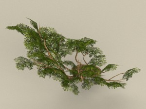 low poly tree 09 3D Модель