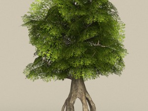low poly tree 10 Model 3D