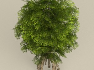 low poly tree 10 Model 3D